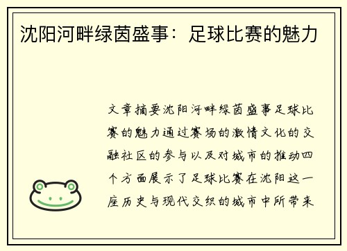 沈阳河畔绿茵盛事：足球比赛的魅力