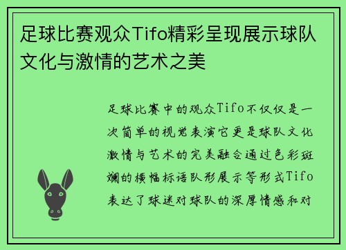 足球比赛观众Tifo精彩呈现展示球队文化与激情的艺术之美