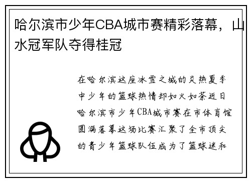 哈尔滨市少年CBA城市赛精彩落幕，山水冠军队夺得桂冠