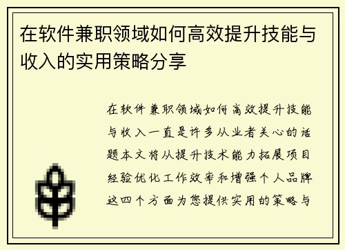 在软件兼职领域如何高效提升技能与收入的实用策略分享